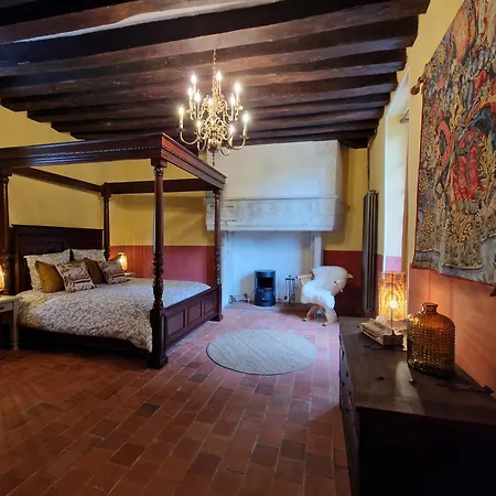 Au Chateau De La Mothe De - Allier, A Proximite De Vichy *