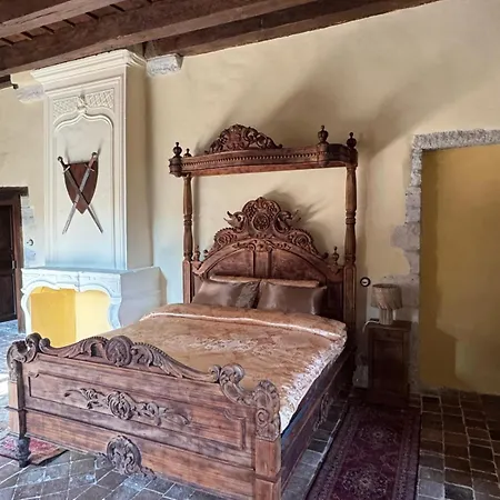 Château De La Mothe De - Allier, à Proximité De Vichy * Vicq (Allier)