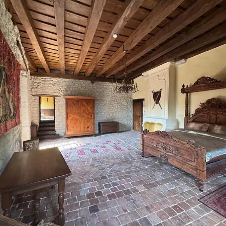Château De La Mothe De - Allier, à Proximité De Vichy * Vicq (Allier)